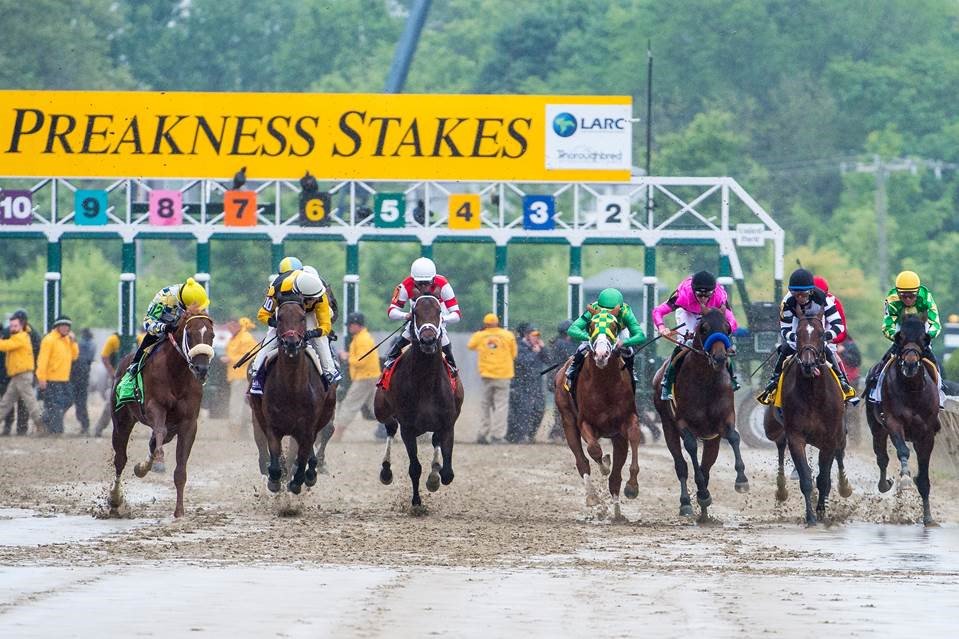 Preakness Picks are Ready To ROLL!